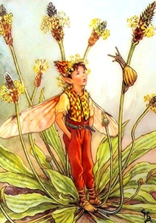 Full Download Counted Cross Stitch Pattern: The Ribworth Plantain Fairy by Cicely Mary Barker, PROFESSIONALLY EDITED Fairies: Flower Fairies (The Flower Fairy Series) - Pronoia Designs | ePub