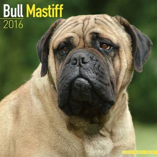 Full Download Bull Mastiff Calendar - Breed Specific Bull Mastiffs Calendar - 2016 Wall calendars - Dog Calendars - Monthly Wall Calendar by Avonside -  file in ePub