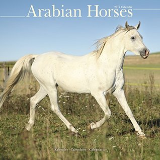 Read Arabian Horse Calendar - Calendars 2016 - 2017 Wall Calendars - Only Arabian Horses - Animal Calendar - Arabian Horses 16 Month Wall Calendar by Avonside -  | PDF