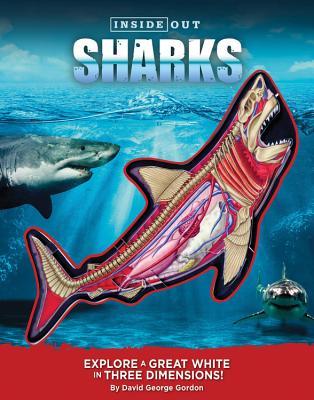 Download Inside Out Sharks: Look inside a great white in three dimensions! - Quarto Publishing Group USA | ePub
