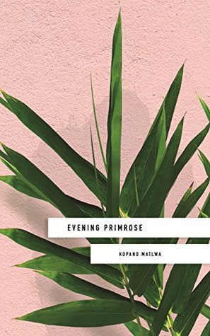 Full Download Evening Primrose: a heart-wrenching novel for our times - Kopano Matlwa | PDF