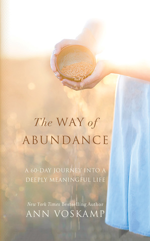 Full Download The Way of Abundance: A 60-Day Journey into a Deeply Meaningful Life - Ann Voskamp file in ePub