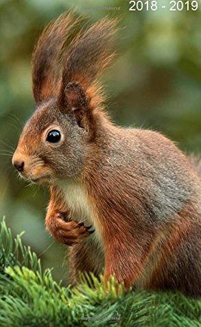 Full Download 2018 - 2019: Squirrel. Monthly Pocket Planner & 2 -Year Notebook, 24-Month Calendar, Notes and Phone book, U.S. Holidays , Reminders, Pages for  numbers.Hand Lettering book, 4.0 x 6.5 -  file in ePub