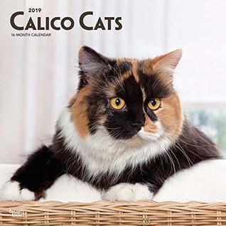 Download Calico Cats 2019 12 x 12 Inch Monthly Square Wall Calendar, Animals Domestic Cats Calico (Multilingual Edition) -  | PDF