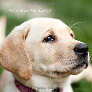 Download Blank Sheet Music Notebook: Wide Lined Staves - Thrive Books file in ePub