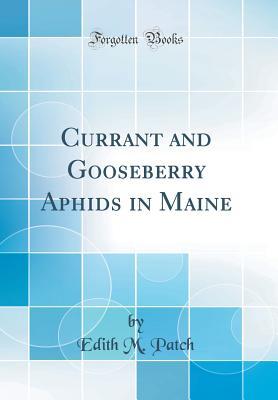 Read Online Currant and Gooseberry Aphids in Maine (Classic Reprint) - Edith M. Patch file in ePub