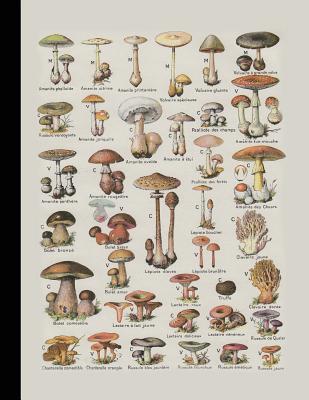 Download Vintage Botanical Illustration Journal: Poisonous Fungi - The Large Botanical Journal for the Mycology Lover - Botanical Illustration Journals | ePub