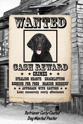 Full Download Retriever Curly-Coated Dog Wanted Poster: Isometric Dot Drawing Paper Notebook Featuring 120 Pages 6x9 -  file in PDF