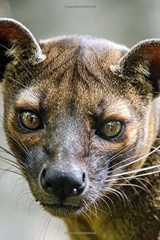 Read Online A Fossa Looking Out in Madagascar Journal: Take Notes, Write Down Memories in this 150 Page Lined Journal - Animal Lovers Journal | ePub