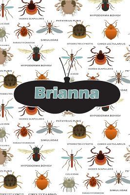 Download Brianna: Bug Insect Draw and Write Journal Notebook 120 Pages 6x9 -  file in ePub