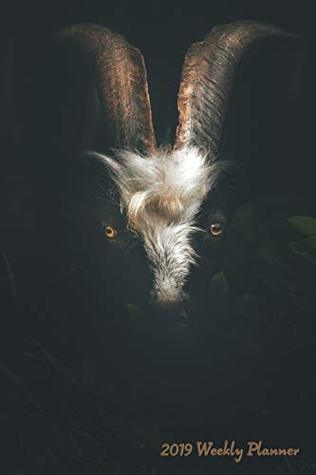 Read Online 2019 Weekly Planner: Black Ram Calendar with Goal-Setting Section, 6x9 - Minnie and Roman's | PDF