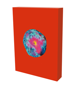 Read Online Pipilotti Rist: Your Salvia is my Diving Suit in the Ocean of Pain: Cat. Kunsthaus Zürich - Pipilotti Rist | PDF