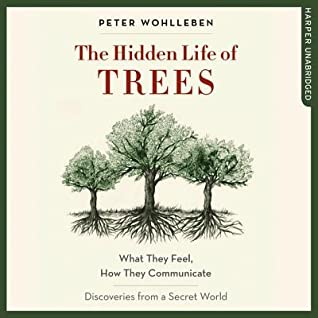 Read The Hidden Life of Trees: What They Feel, How They Communicate; Discoveries from a Secret World - Peter Wohlleben file in PDF